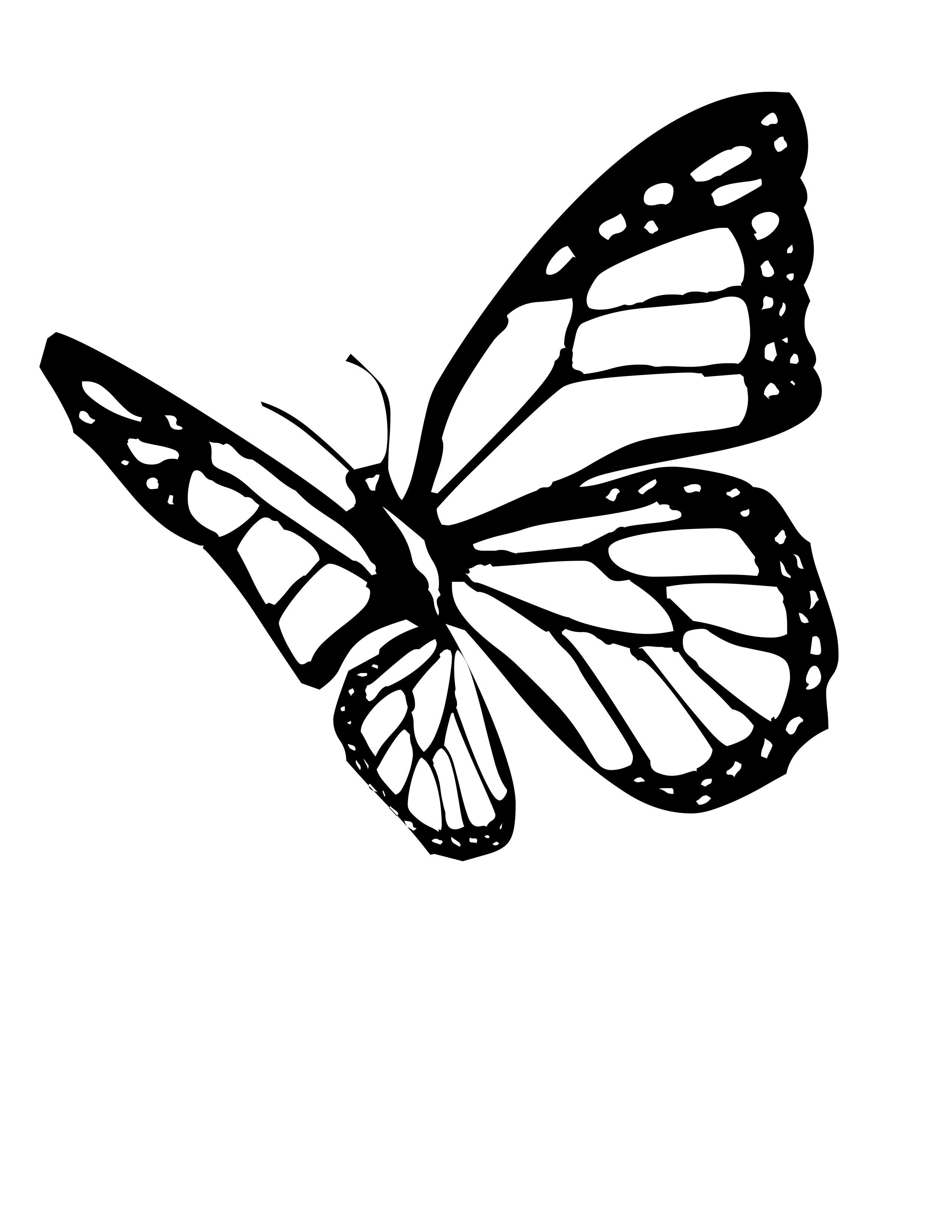 60 Printable Butterfly Coloring Book 2