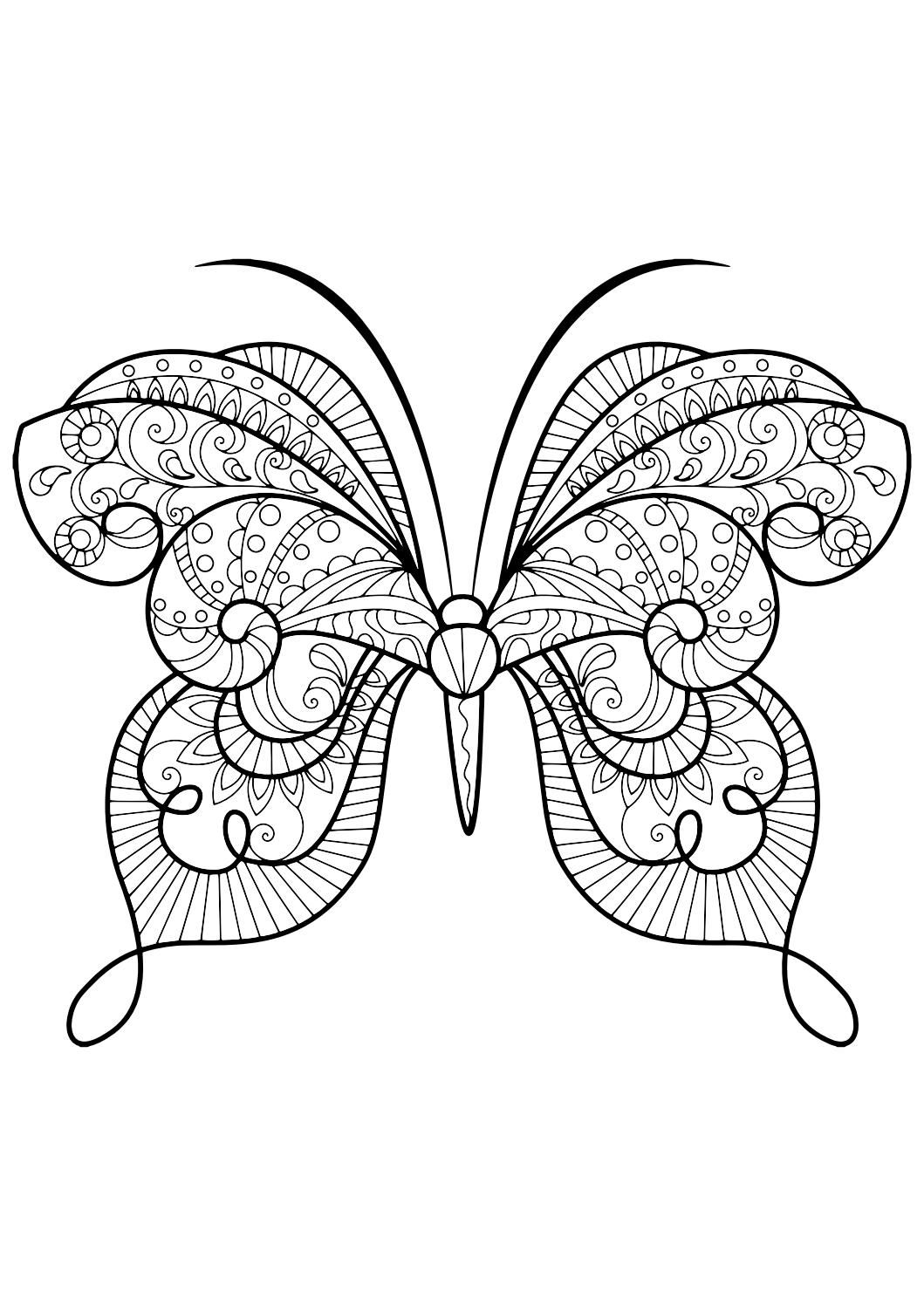 60 Printable Butterfly Coloring Book 22