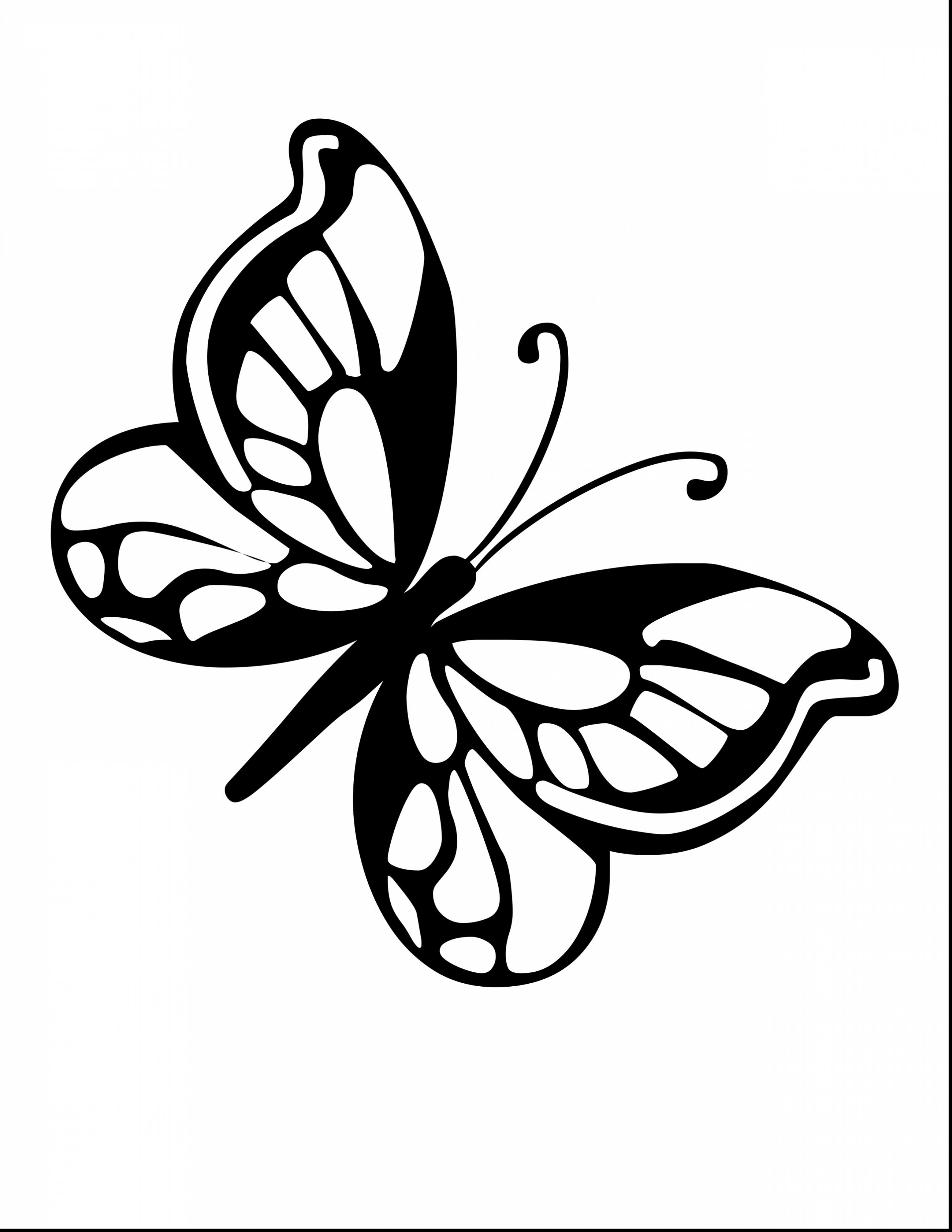 60 Printable Butterfly Coloring Book 28