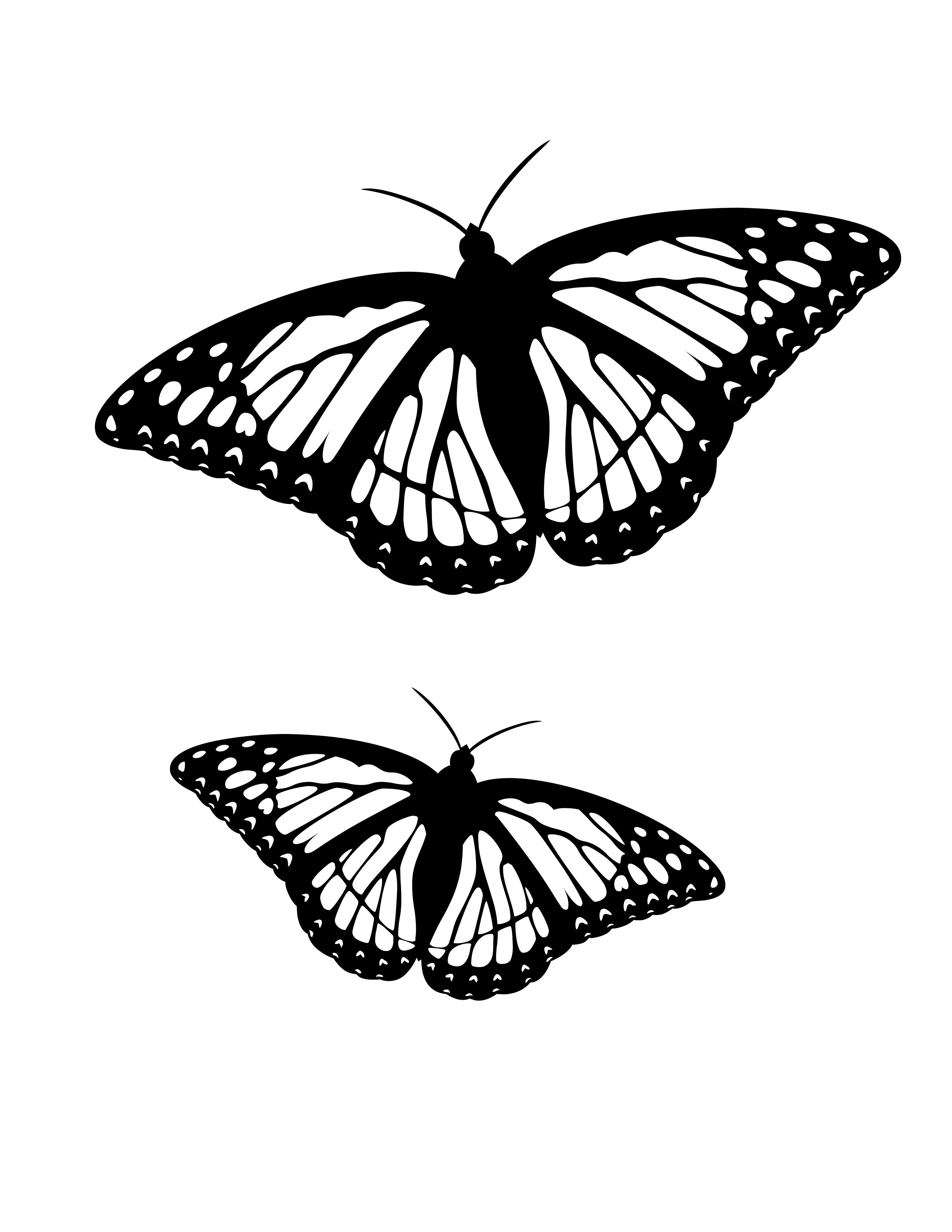 60 Printable Butterfly Coloring Book 33