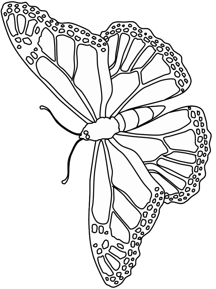 60 Printable Butterfly Coloring Book 38