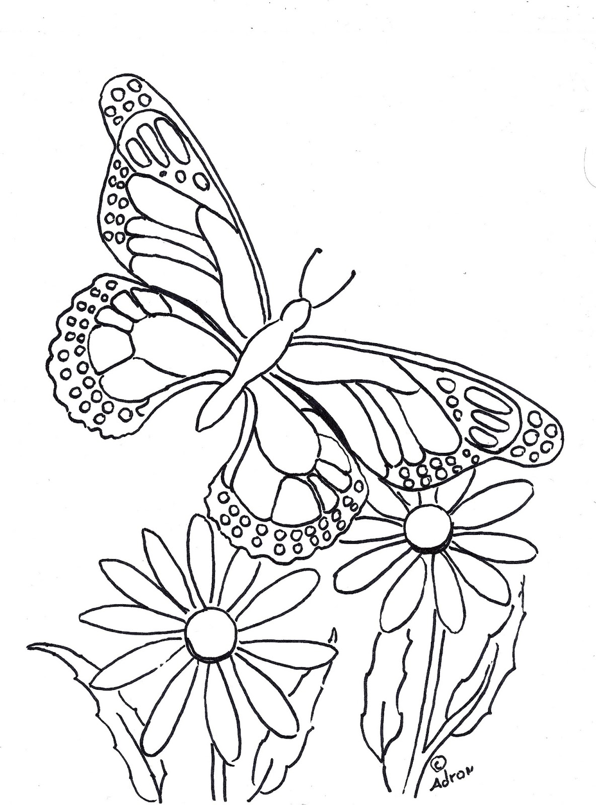 60 Printable Butterfly Coloring Book 41