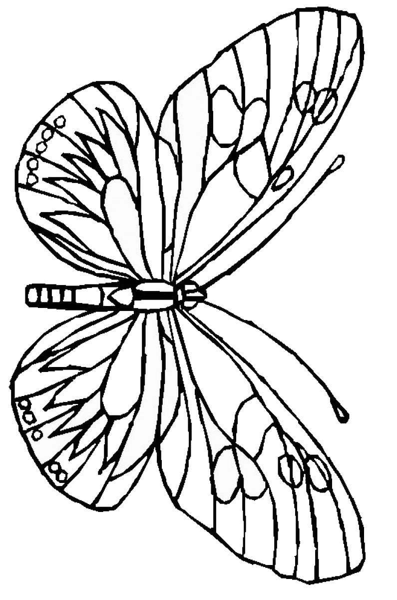 60 Printable Butterfly Coloring Book 43