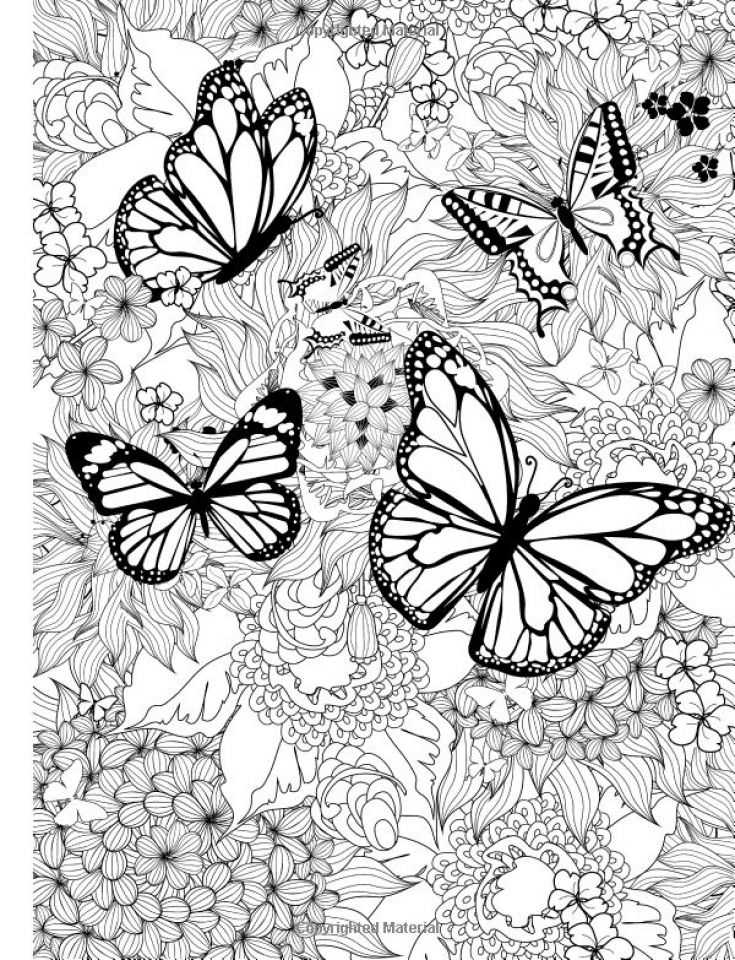 60 Printable Butterfly Coloring Book 44