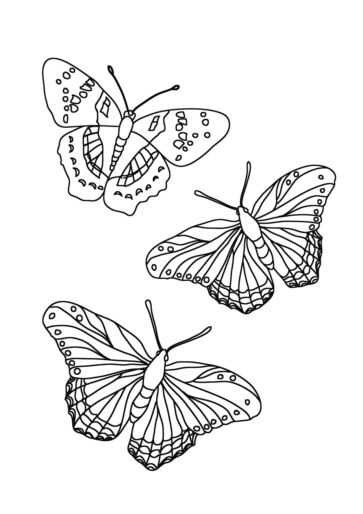 60 Printable Butterfly Coloring Book 47