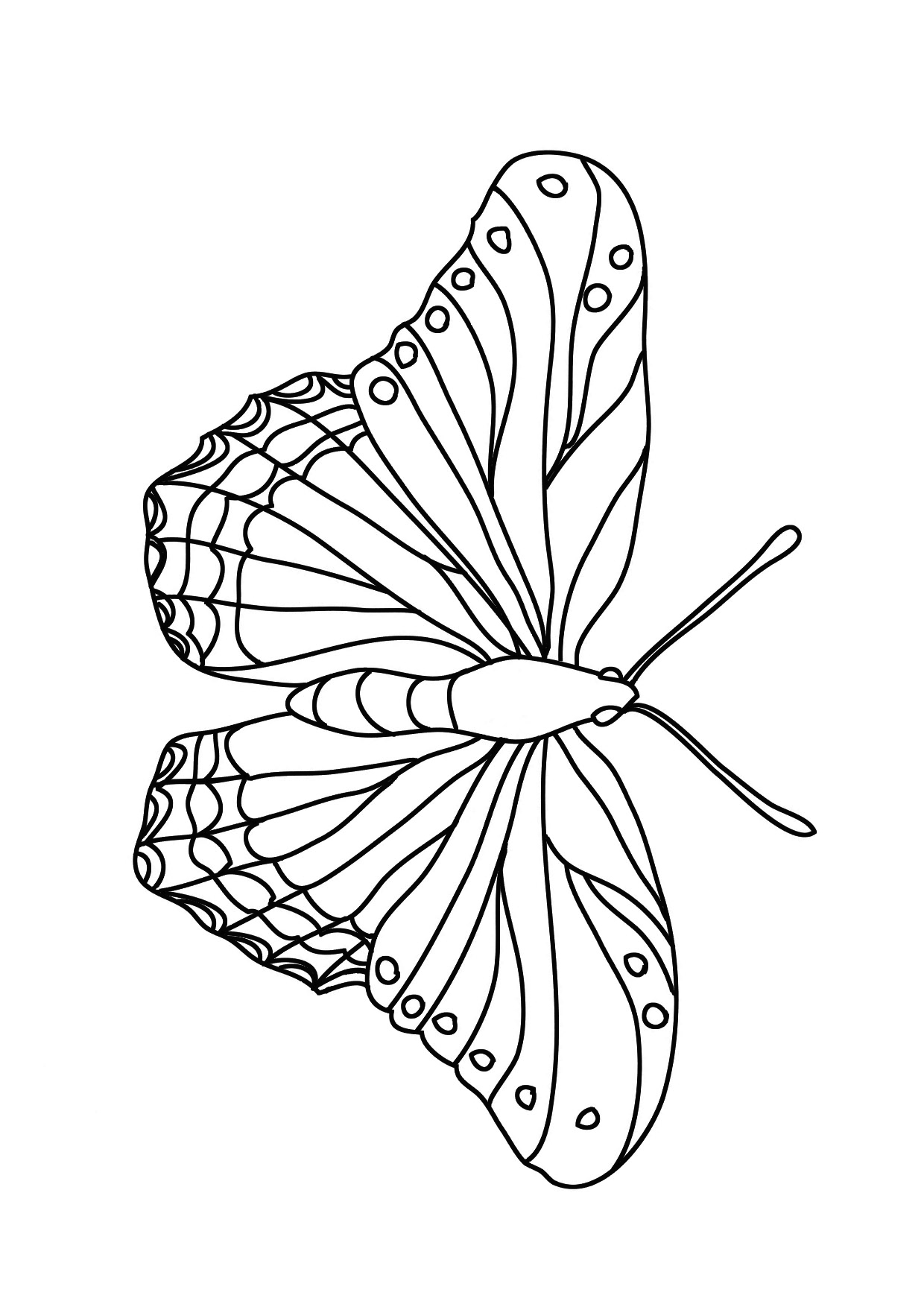 60 Printable Butterfly Coloring Book 49