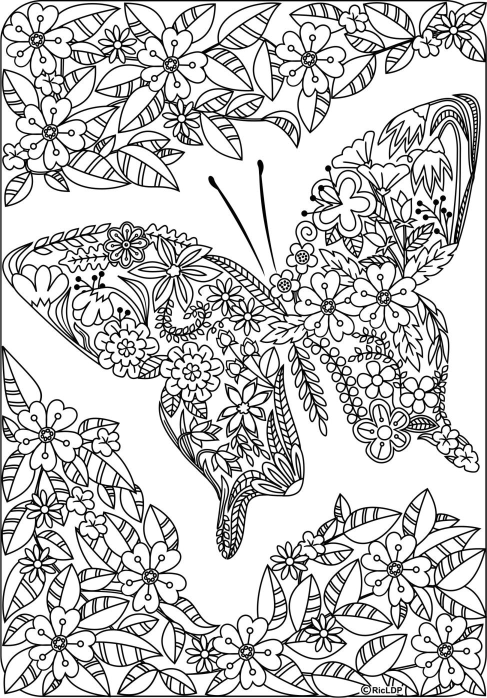 60 Printable Butterfly Coloring Book 50