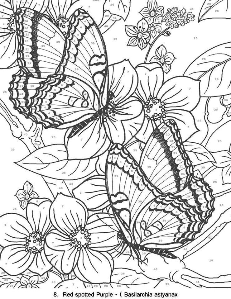 60 Printable Butterfly Coloring Book 51