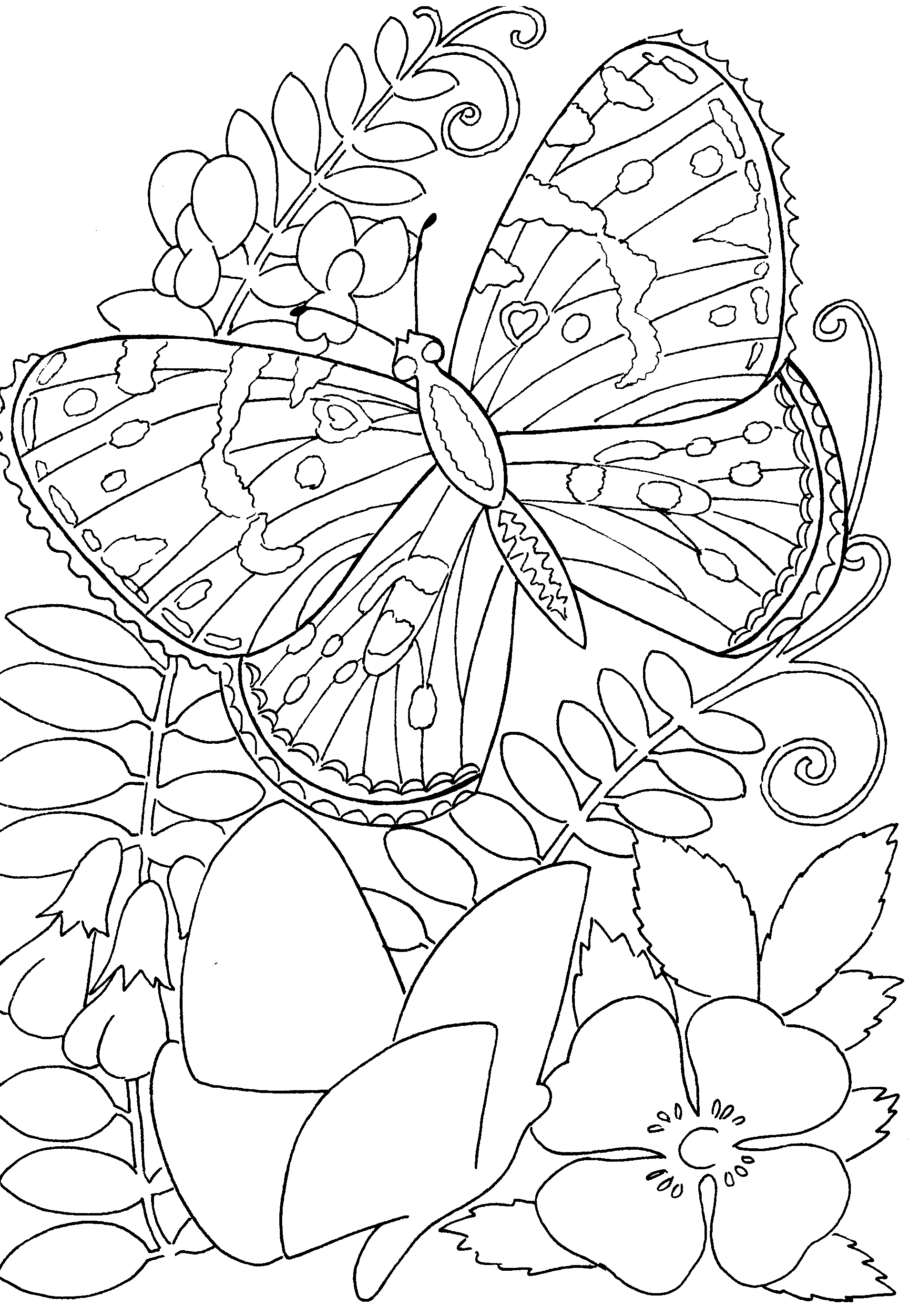 60 Printable Butterfly Coloring Book 57