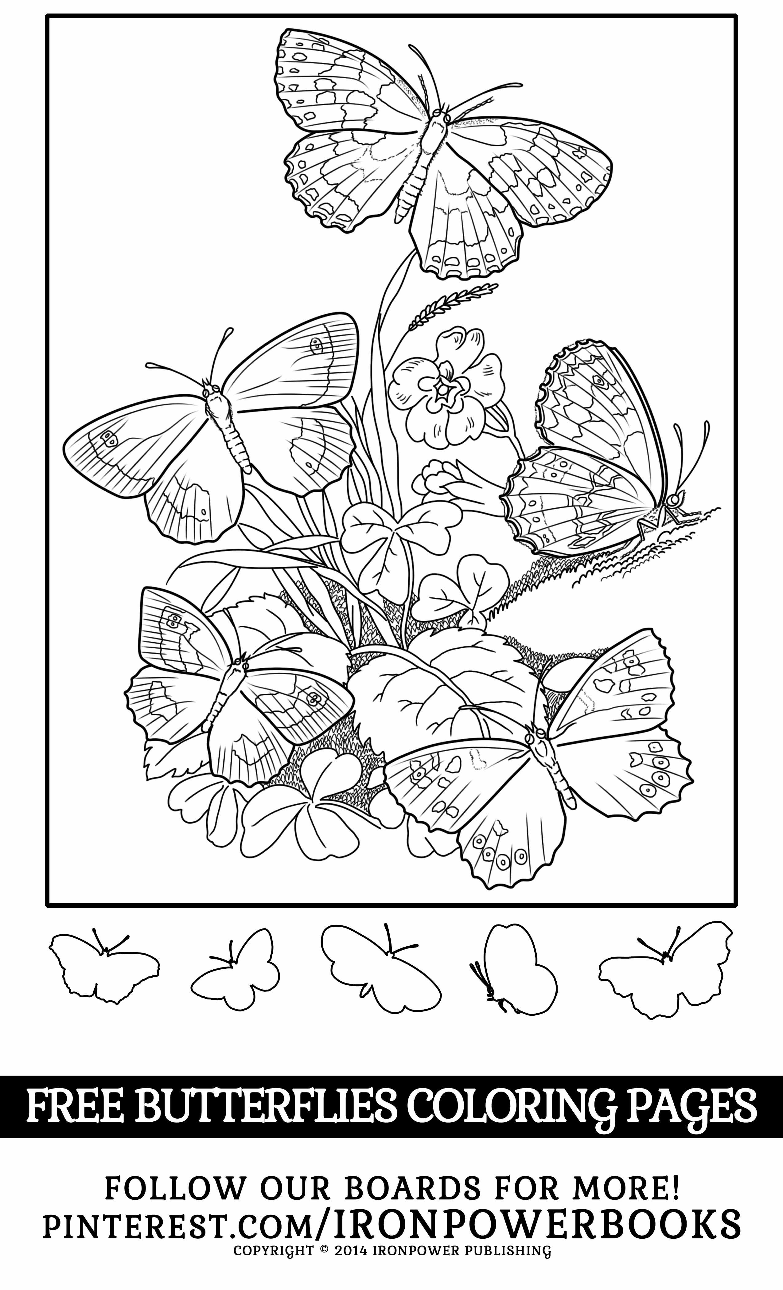 60 Printable Butterfly Coloring Book 58