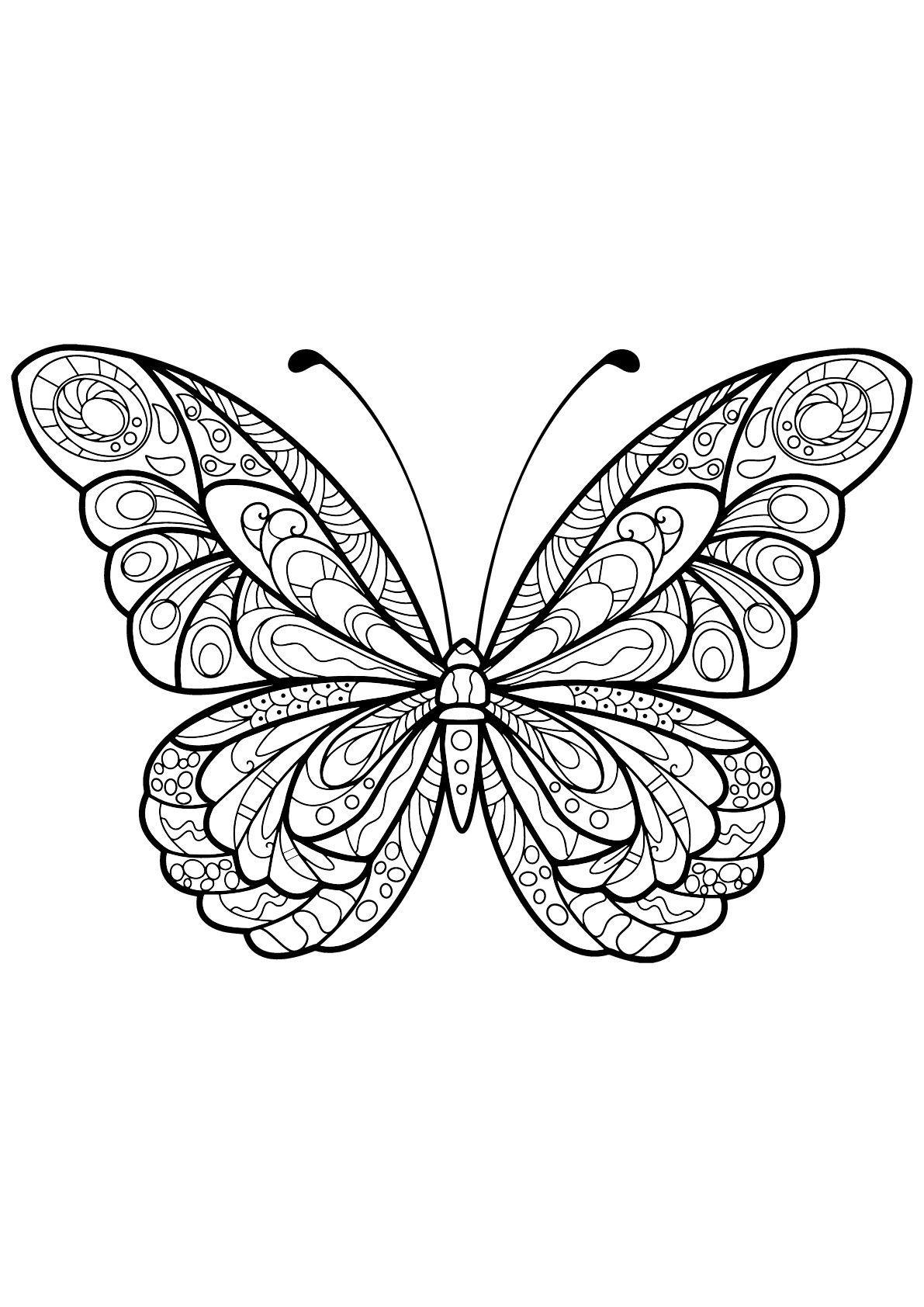 60 Printable Butterfly Coloring Book 60