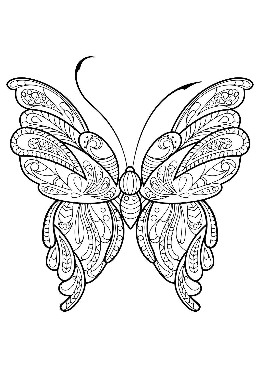 60 Printable Butterfly Coloring Book 61