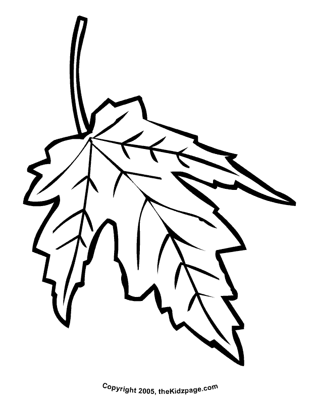 Get 85 Coloring Page Leaves Ideas 15