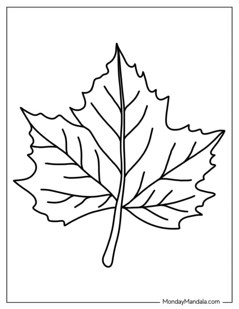 Get 85 Coloring Page Leaves Ideas 17