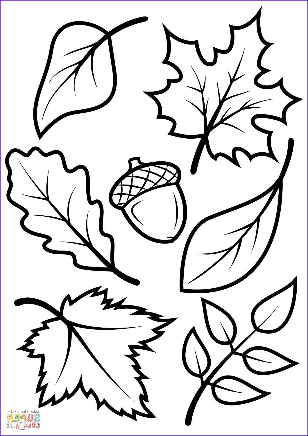 Get 85 Coloring Page Leaves Ideas 22