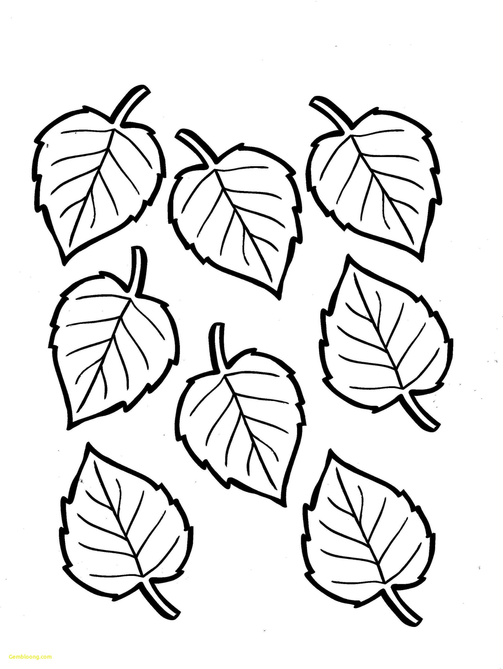 Get 85 Coloring Page Leaves Ideas 24