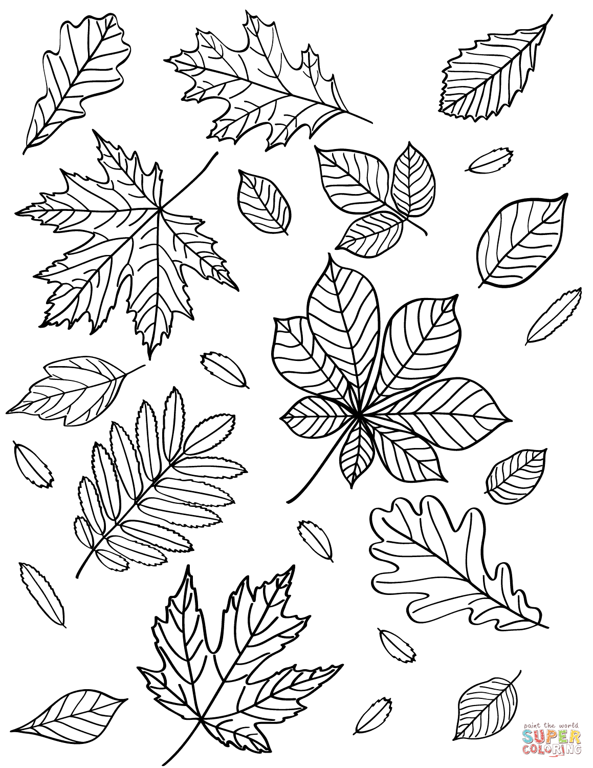 Get 85 Coloring Page Leaves Ideas 26