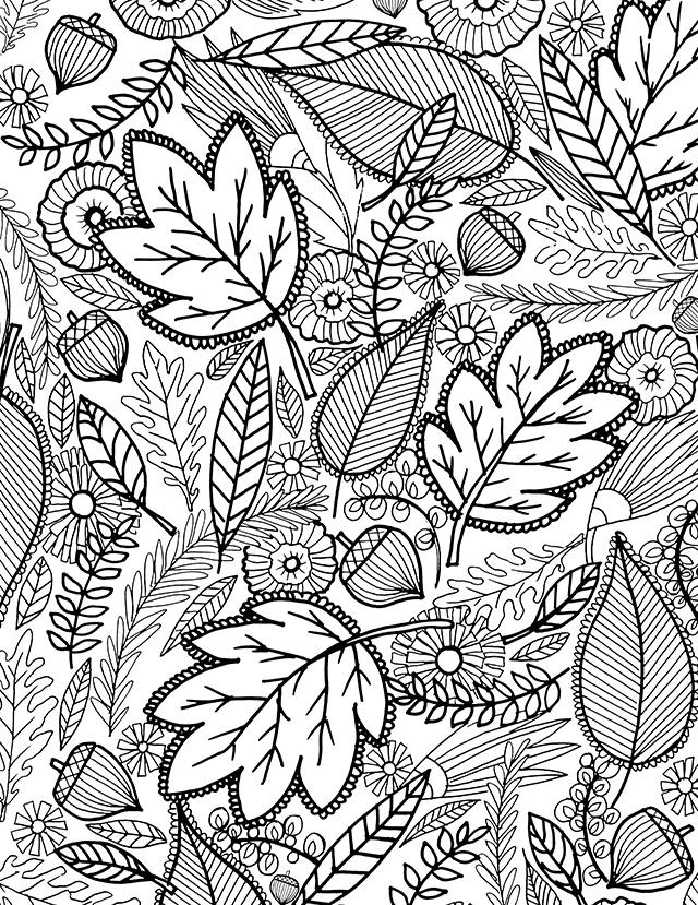 Get 85 Coloring Page Leaves Ideas 36