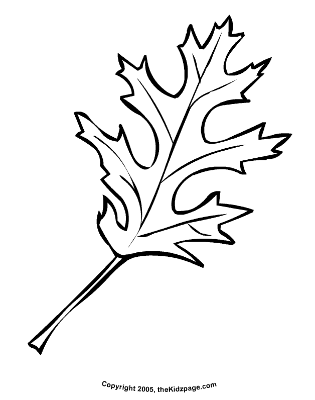 Get 85 Coloring Page Leaves Ideas 39