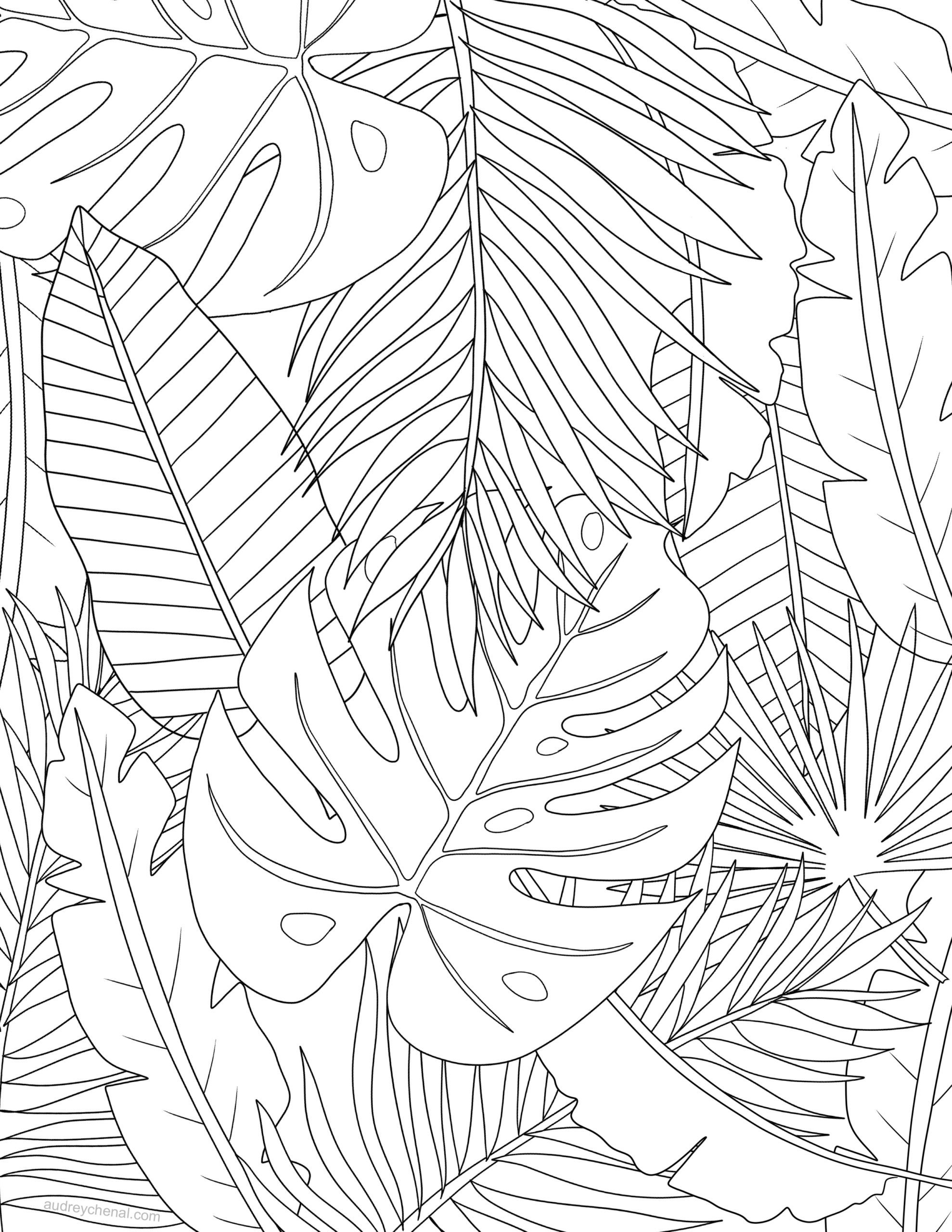 Get 85 Coloring Page Leaves Ideas 4