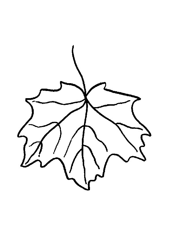 Get 85 Coloring Page Leaves Ideas 40