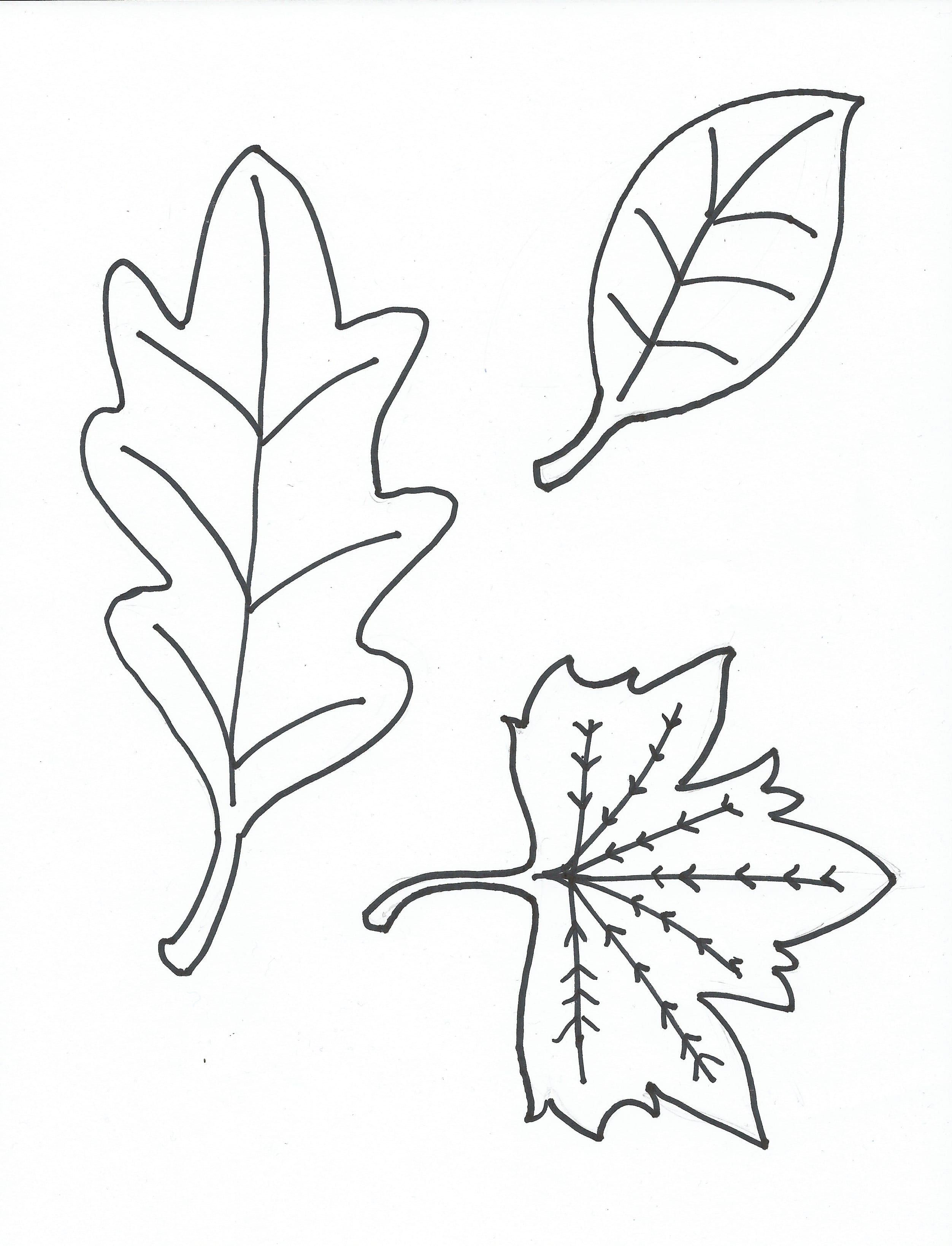 Get 85 Coloring Page Leaves Ideas 5