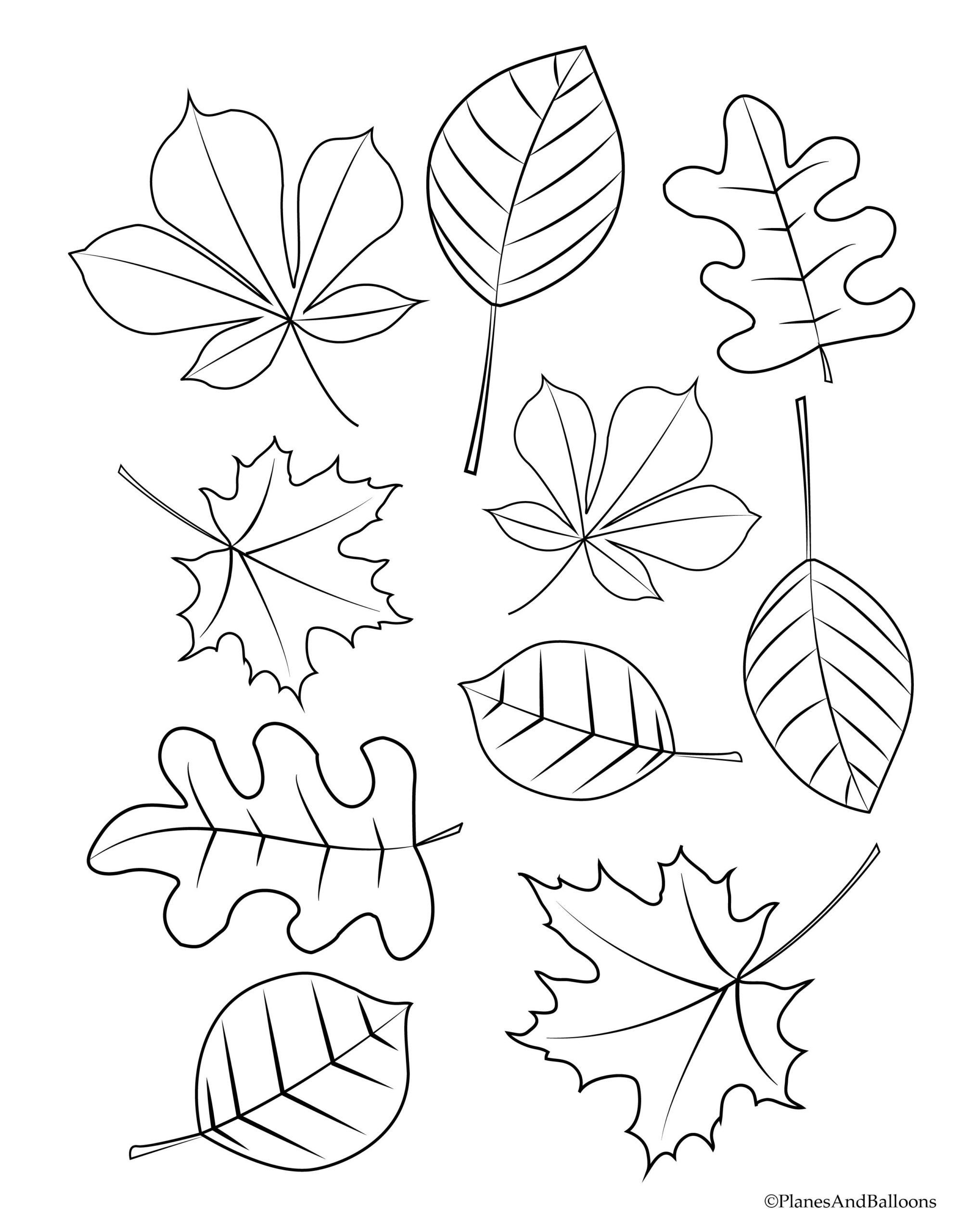 Get 85 Coloring Page Leaves Ideas 51