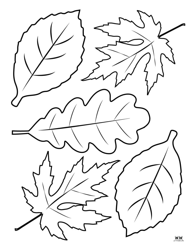 Get 85 Coloring Page Leaves Ideas 52