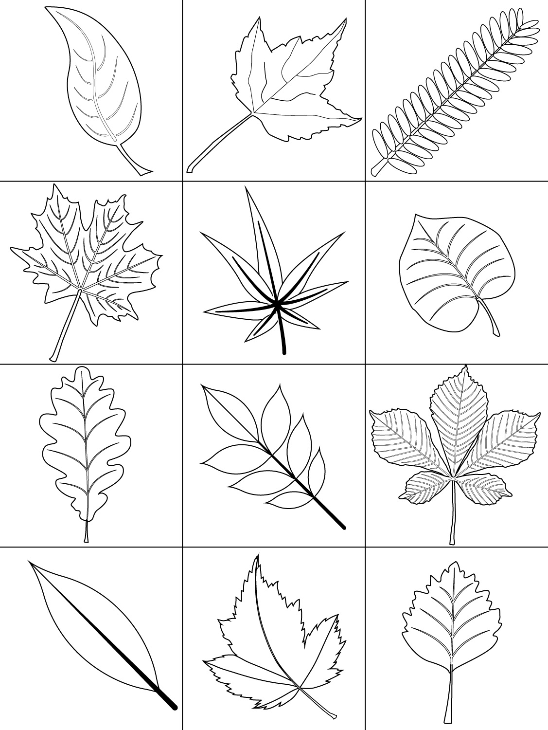 Get 85 Coloring Page Leaves Ideas 55