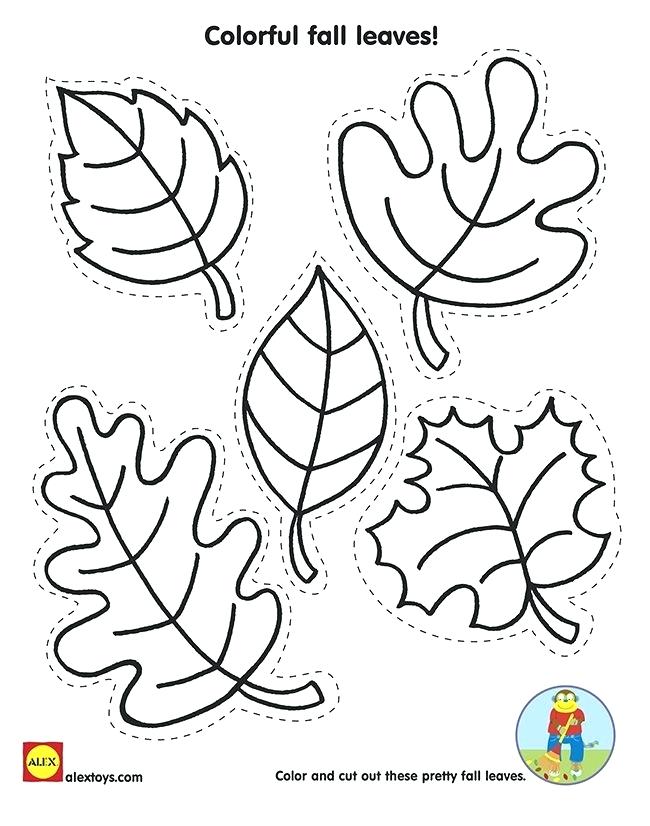 Get 85 Coloring Page Leaves Ideas 56