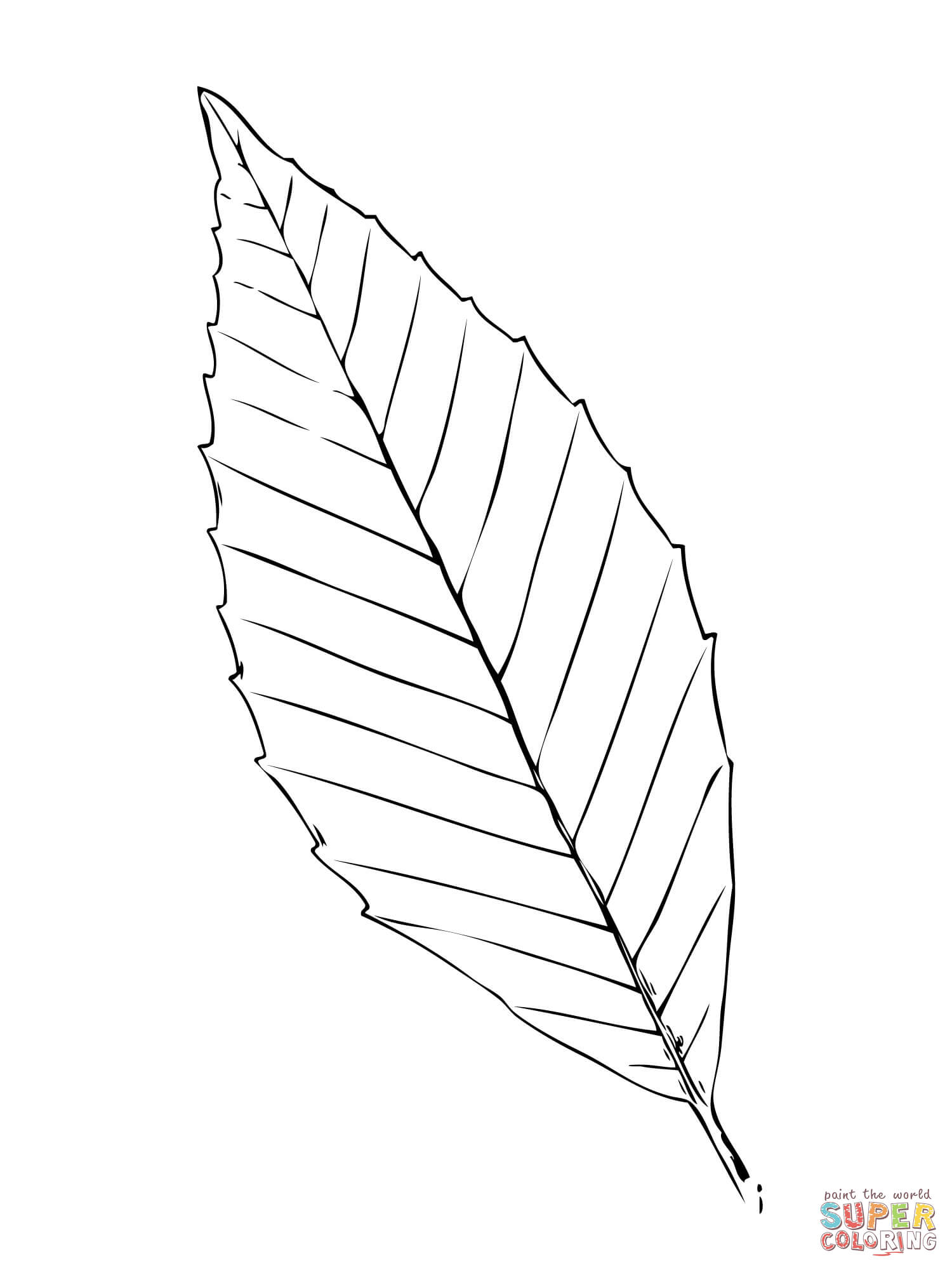 Get 85 Coloring Page Leaves Ideas 57