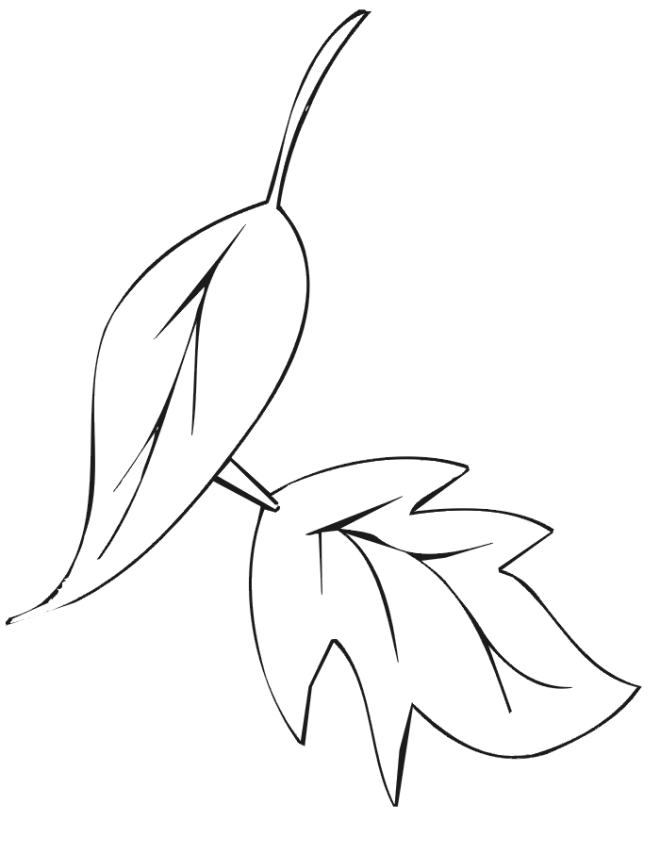 Get 85 Coloring Page Leaves Ideas 59