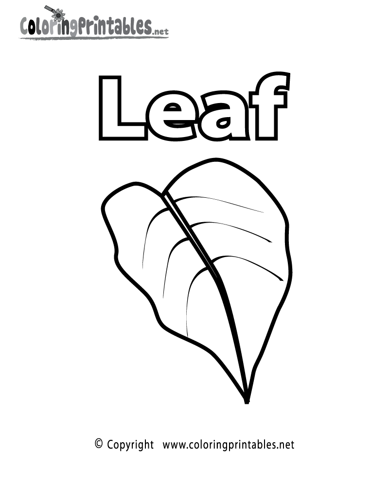 Get 85 Coloring Page Leaves Ideas 65