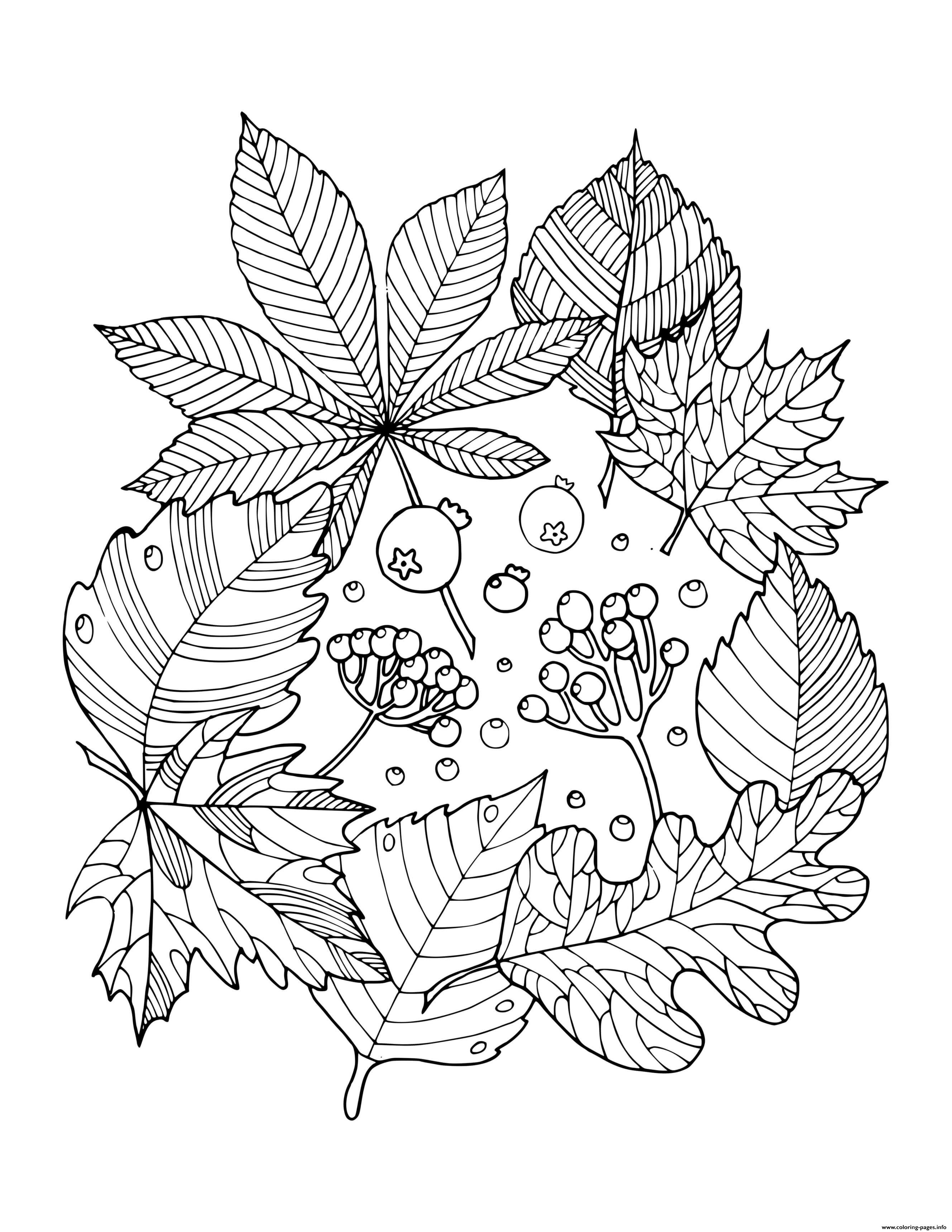 Get 85 Coloring Page Leaves Ideas 7