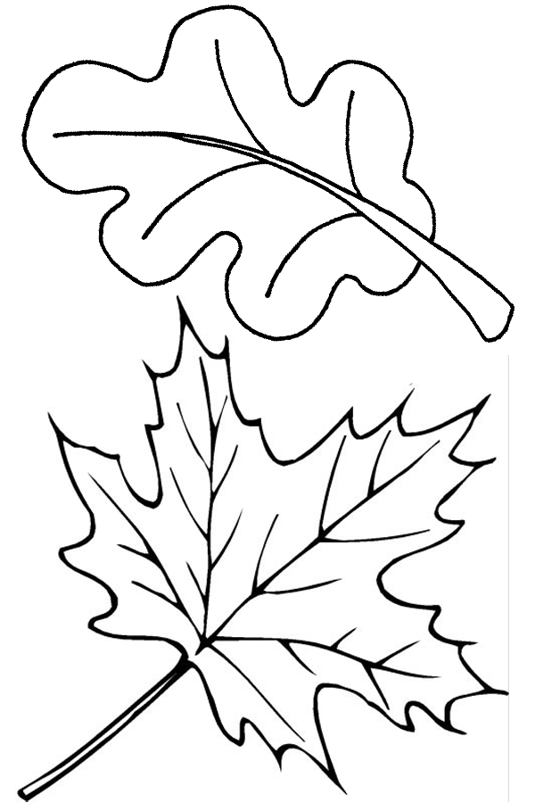 Get 85 Coloring Page Leaves Ideas 8