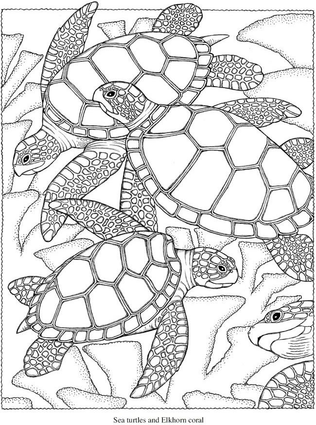 Get 85 Free Printable Beach Coloring Pages Ideas 40