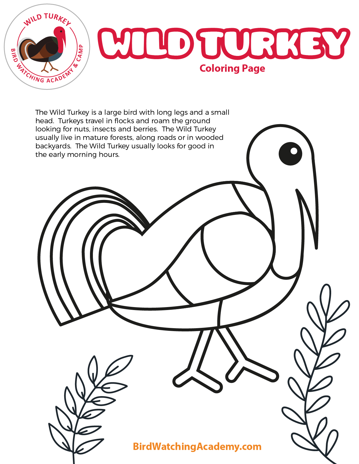 Get 85 Preschool Turkey Coloring Ideas 20