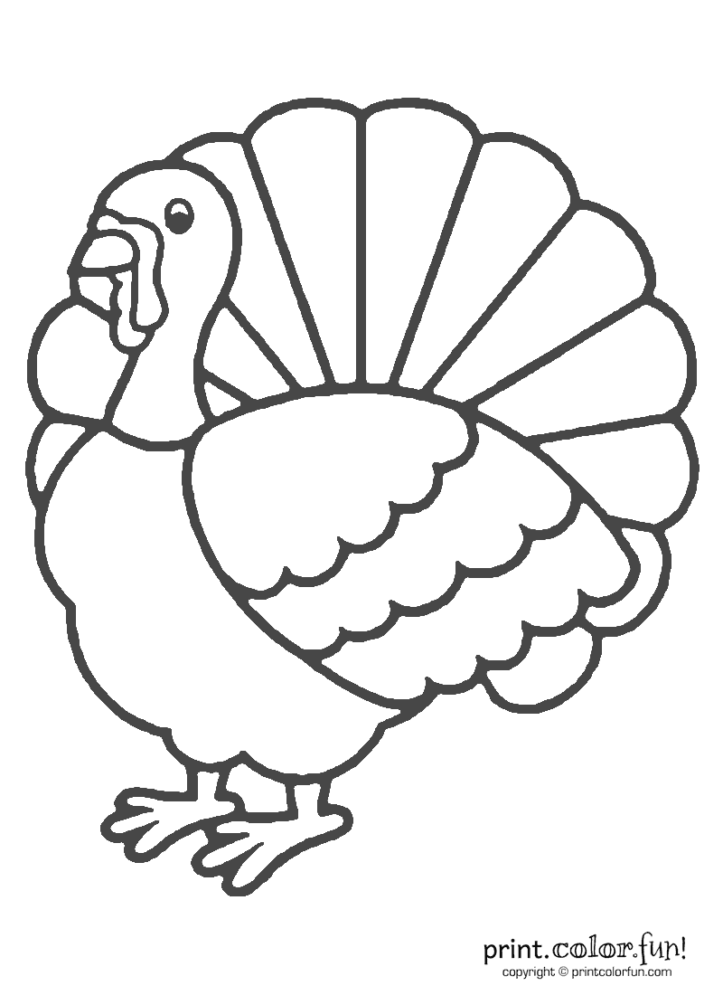 Get 85 Preschool Turkey Coloring Ideas 54