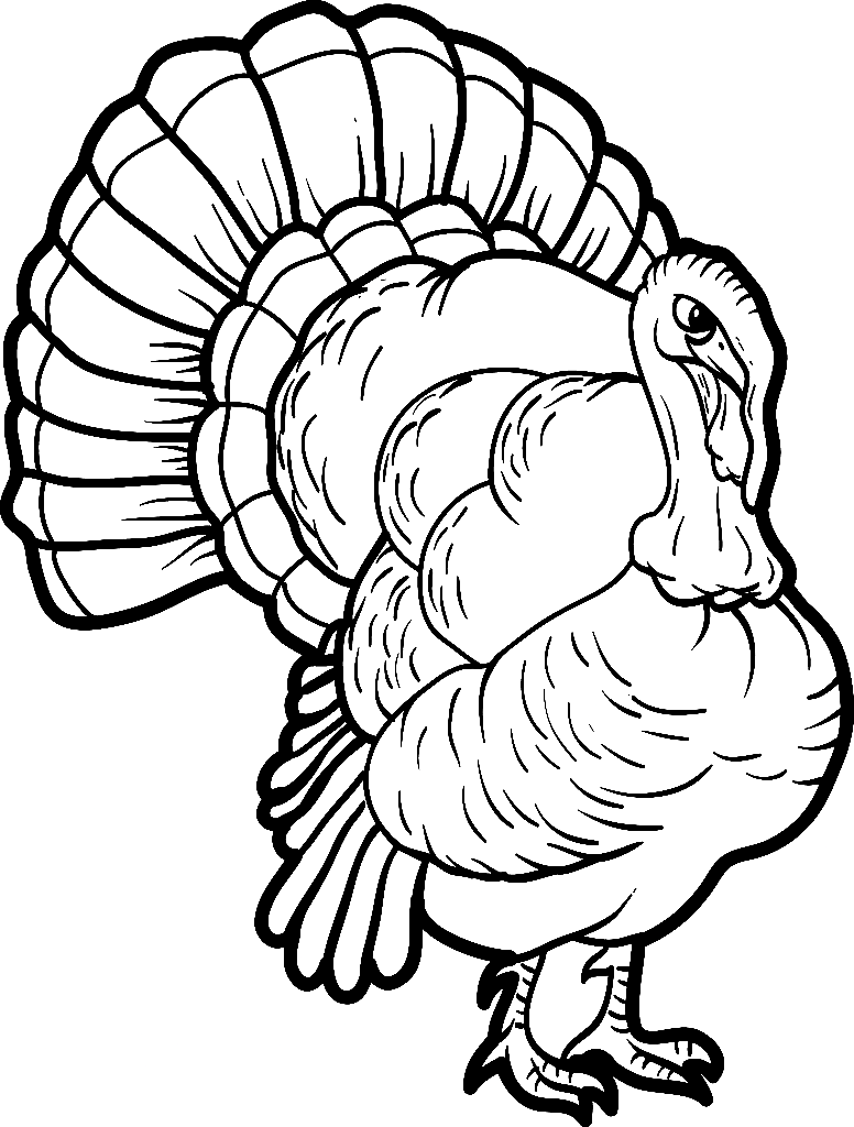 Get 85 Thanksgiving Food Coloring Sheets Ideas 24