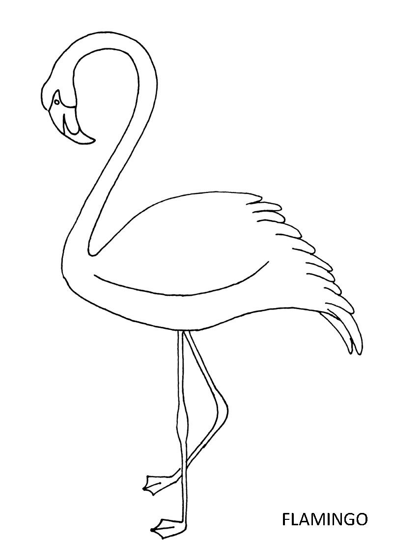 Save 60 Coloring Page Flamingo Ideas 11