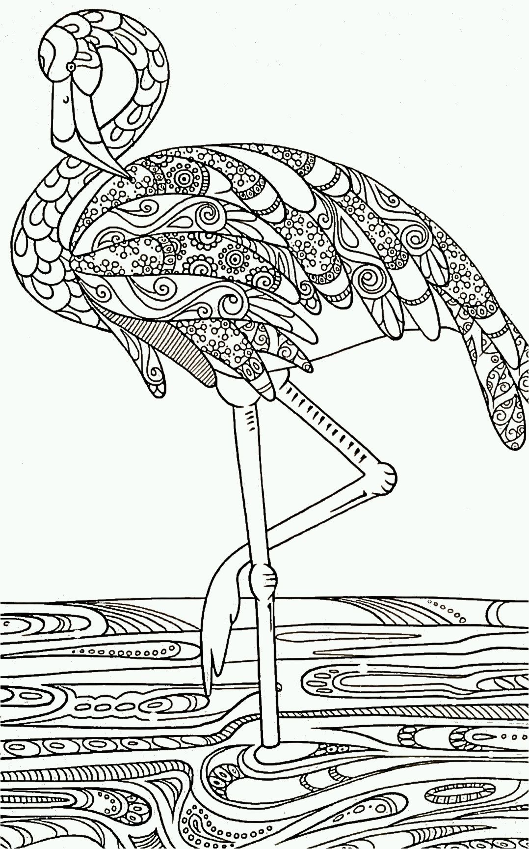 Save 60 Coloring Page Flamingo Ideas 13