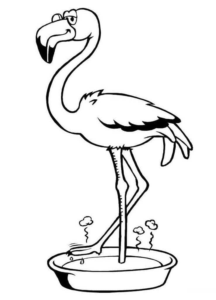 Save 60 Coloring Page Flamingo Ideas 19