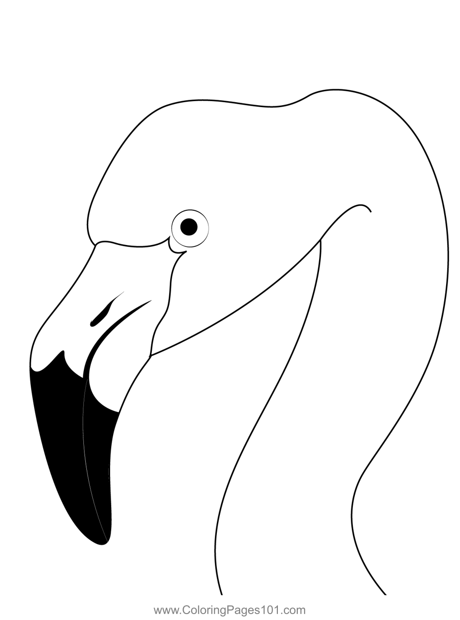 Save 60 Coloring Page Flamingo Ideas 20