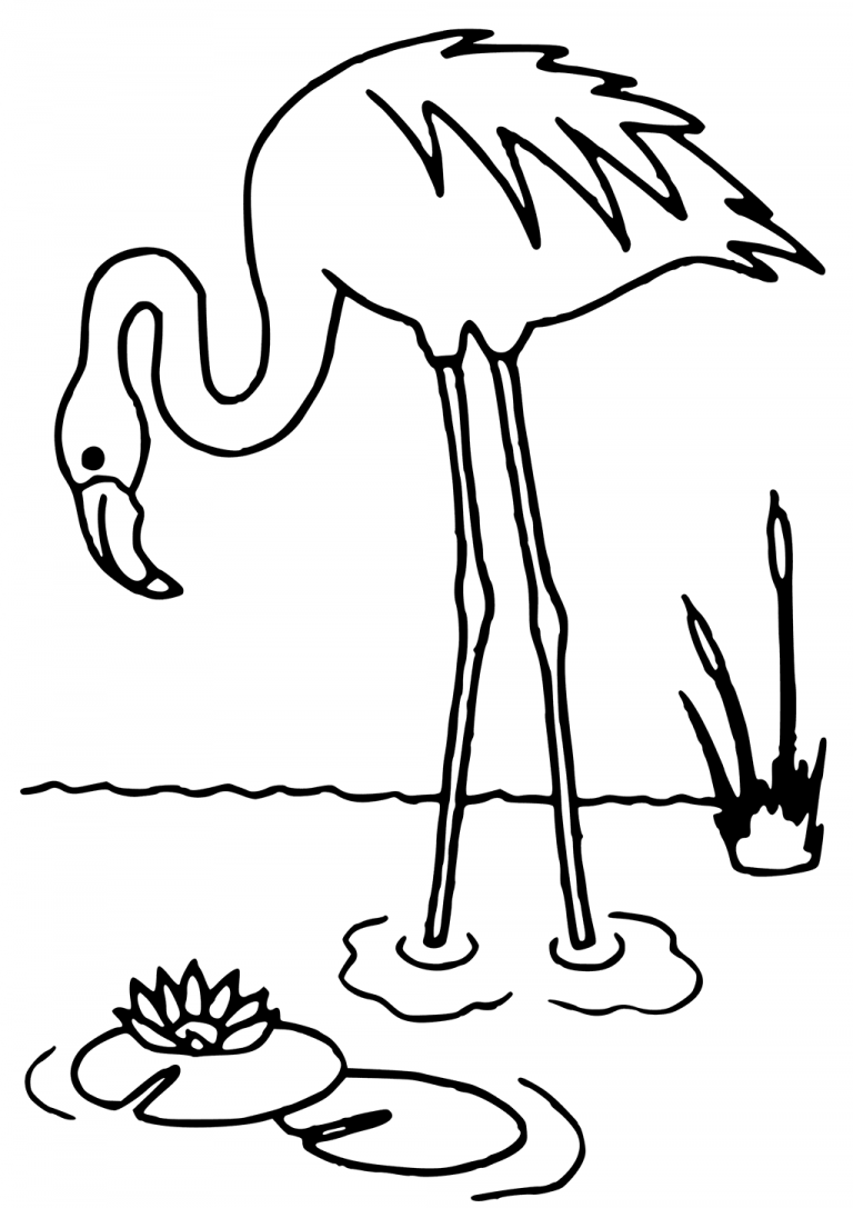 Save 60 Coloring Page Flamingo Ideas 23