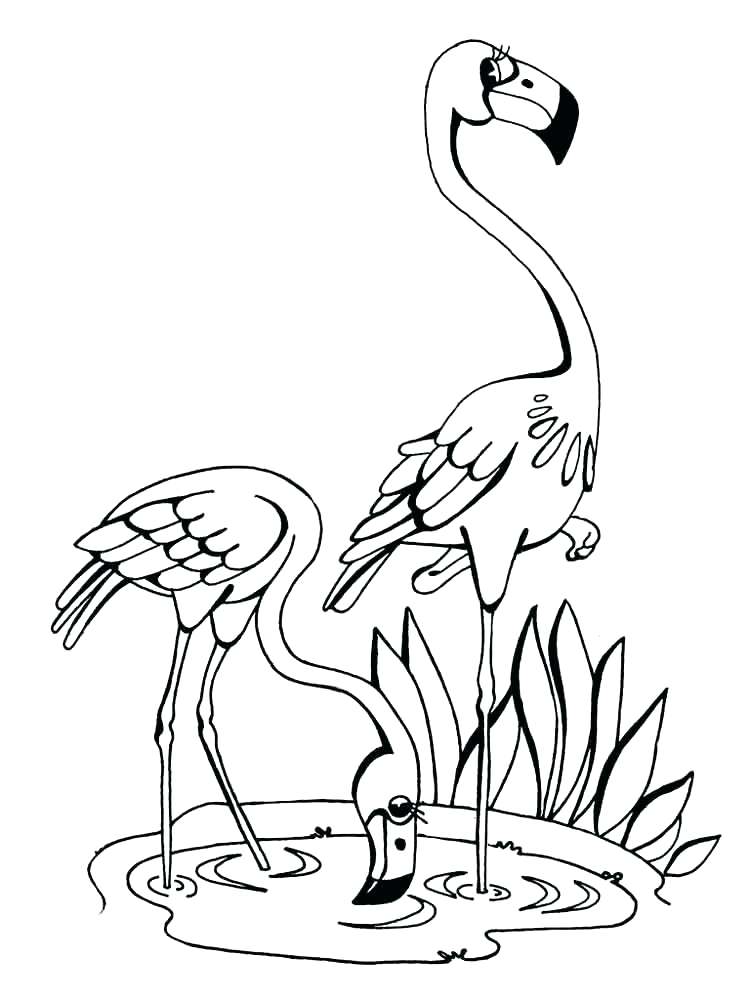 Save 60 Coloring Page Flamingo Ideas 27