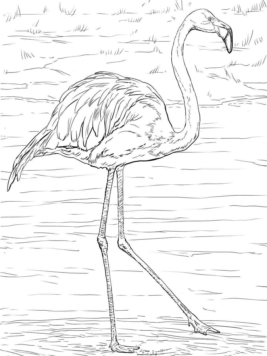 Save 60 Coloring Page Flamingo Ideas 3