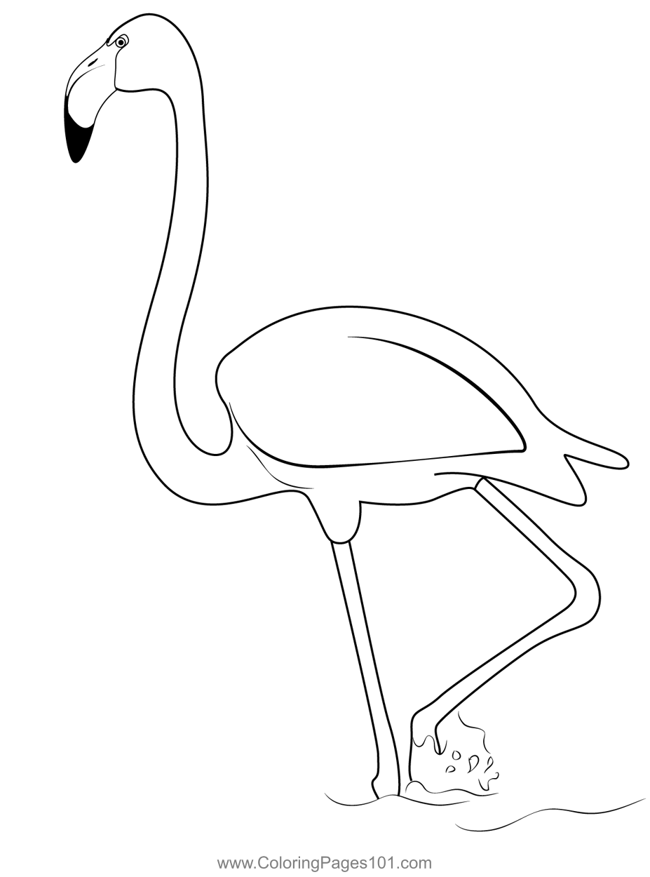 Save 60 Coloring Page Flamingo Ideas 33