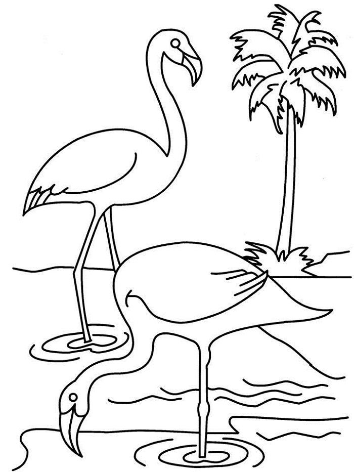 Save 60 Coloring Page Flamingo Ideas 36