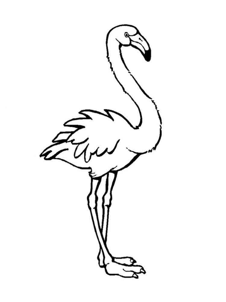 Save 60 Coloring Page Flamingo Ideas 38