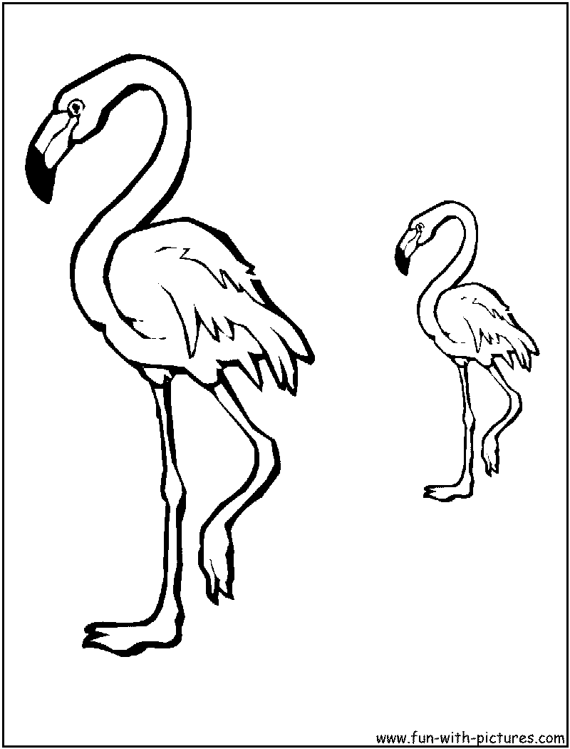 Save 60 Coloring Page Flamingo Ideas 42